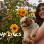 Iraaday Lyrics English Translation – Abdul Hannan