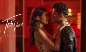 Teri Yaad Lyrics English Translation – Aditya Rikhari