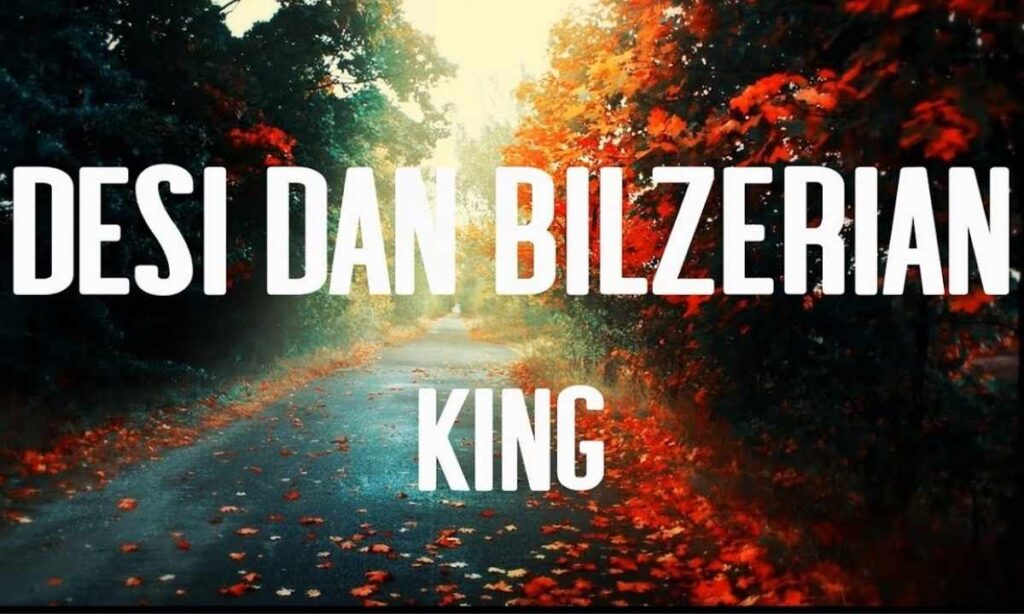 desi-dan-bilzerian-lyrics
