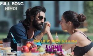 Pehle Bhi Main Lyrics Translation Animal Vishal Mishra Pehli Dafa