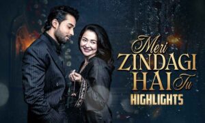 meri-zindagi-hai-tu-lyrics-translation-asim-azhar-sabri-sisters