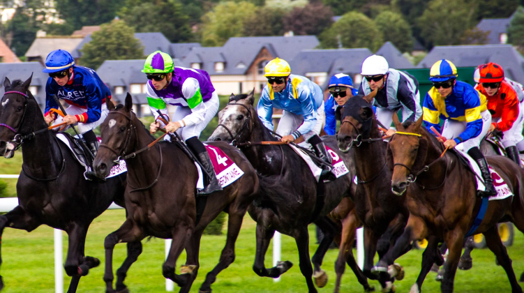 PMU Bars Are Where France Really Watches the Races